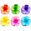 Hibiscus Flower Hair Claw Clips Multicolour - 6 Pcs - Thumbnail Image 2